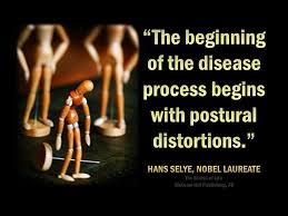 Posture Is Simply A Window Into The Underlying Health Of The Spine And Nervous System Hawkesbay Hastin Nervous System Chiropractic Care Chiropractic