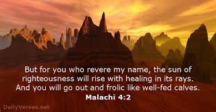 Image result for IMAGE Malachi 4:2