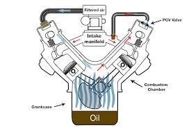 While ford tools can sometimes be rented from rental dealers ford v8 engines. Ford 302 Engine Diagram Pcv Wiring Diagram Week Colab Week Colab Pennyapp It