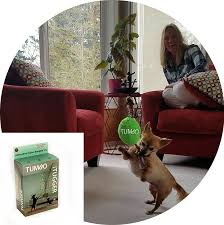 Tumbo Indoor Tiny Tugger Energetic Ceiling Hanging Bungee Dog Toy You Can Get Additional Details At The Image Link Pet Ceiling Hanging Dog Toys Cat Toys