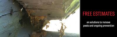 Pest control companies have reported bed bug activity on a national scale. Pest Control In Northern Wisconsin Abc Exterminating Inc