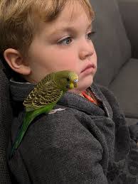 Barbara Laffan's Instagram, Twitter & Facebook