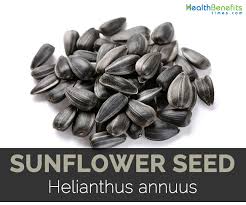 Sunflower Seed Facts Health Benefits And Nutritional Value