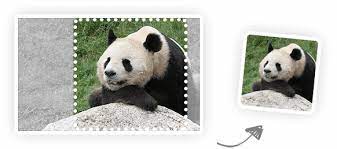 Select multiple images in jpeg, png or bmp format ( it will convert png to jpg format. Tinyjpg Compress Jpeg Images Intelligently