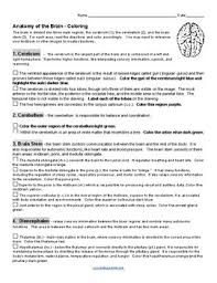 4 color the books if desired. Brain Coloring Worksheets Teaching Resources Tpt