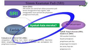 Baja kompos mempunyai banyak kelebihan dan kebaikan kepada tanaman. Review Paddy In Malaysia