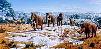 Resucitar al mamut para luchar contra el cambio climático - Climática, el  medio especializado en clima y biodiversidad