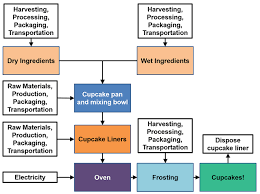 Mmm Cupcakes Whats Their Life Cycle Impact Activity