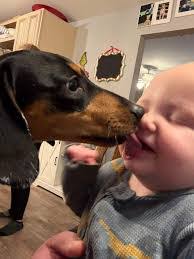 Elinor West's Instagram, Twitter & Facebook