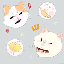 Cat No Banana When You Taste A Lemon Laura S Art Blog Illustrators Art Blog Cat Memes