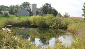 Autumn is the least damaging time for making changes, after the height of the breeding season but before amphibians go into hibernation. Manage Fish Friendly Farm Ponds Hobby Farms