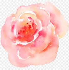 We did not find results for: Ink Watercolor Flower Transparent Pink Flower Watercolor Transparent Png Image With Transparent Background Toppng