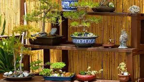 Bamboo Garden Fence Panels Japanese Style Landscape Ideas Bonsai Shelves Asian Landscape Bamboo Garden Fences Garden Fence Panels