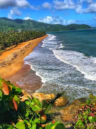 63 top puerto rico wallpapers , carefully selected images for you that start with p letter. 500 Puerto Rico Pictures Hd Download Free Images On Unsplash