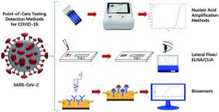 The tale of 1 virus and 2 testing methods. Point Of Care Testing Detection Methods For Covid 19 Lab On A Chip Rsc Publishing