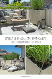 Balkon Sichtschutz Mit Pampasgras In 2020 Balkon Sichtschutz Sichtschutz Pflanzen Balkon Sichtschutz