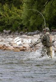 Salt addiction t shirt fishing apparel saltwater apparel life pirate ocean. Manic Tackle Project Fly Fishing New Zealand Australia