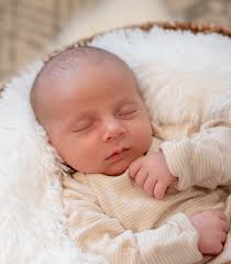 Michelle Lala Clark Photography