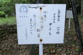 万葉歌碑を訪ねて その５２４ ５２５ ５２６ 奈良市法蓮佐保山 万葉の苑 ２７ ２８ ２９ 万葉集 巻十 一八六六 一八七 一八七二 万葉集 の歌碑めぐり