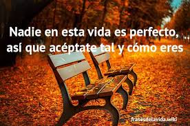 La amistad es muy hermosa y es muy importante en nuestra vida porque hace que la vida sea más fácil y llevadera. 200 Frases De La Vida Cortas Para Reflexionar Y Pensar