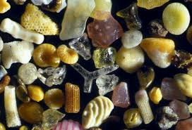 Sand Under A 250x Microscope Things Under A Microscope Microscopic Grain Of Sand