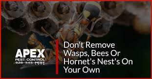 Smart home and business owners choose us for a full range of pest control services, from ant and termite extermination to wildlife removal. Pest Control Asheville
