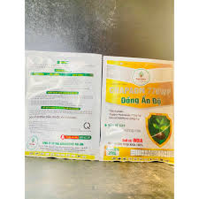 Sun Choong En 5GR