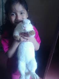 This service of photo report is not unique. Narvaez Flowers Gift Shop En Laredo