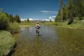 The henry's fork of the snake river, known by locals simply as the hank, is arguably the most famous river in idaho. What Lies Ahead For 2019 Henry S Fork Anglers