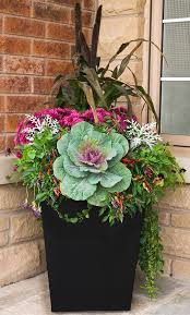 Small evergreens can form the foundation of fall arrangements, says zammit, who. Pin On Planters For Me To Copy Haha
