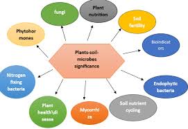 Advances in Soil Microbiome Research