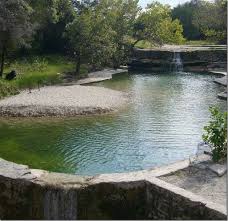 F Yeah Awesome Houses Stunning Natural Pools Natural Pool Swimming Pools Swimming Pond