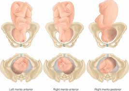 Image result for Face Presentation