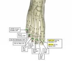 Image Result For Foot Meridians Acupuncture Points Chart
