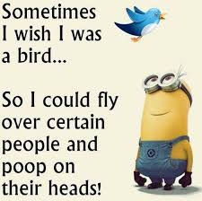 Pin By My Info On Quotes I Like Minions Funny Funny Minion Quotes Funny Quotes