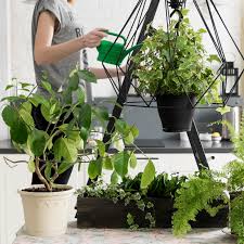 Some benefits are low maintenance, low water consumption, air of nutrients, fast and economical installation, automatic irrigation. Starting An Indoor Plant Business