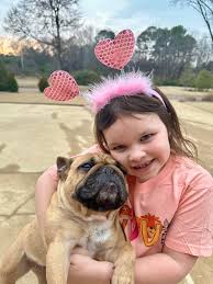 Oxford French Bulldogs added a...