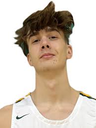 Bedford's Hollinger leads All-Region Boys Basketball Team