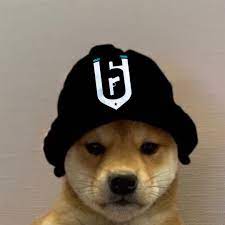 1956x1080 computer doge wallpapers, desktop backgrounds px for pc & mac, tablet, laptop. Pin By Yweaves On Pieski Dog Images Cute Art Styles Dog Memes
