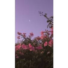 Check spelling or type a new query. Attack On Titan Junior High Stories