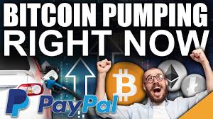 ⚠️ crypto altcoins analysis & altcoin ta today. Bitcoin News Bitcoin Pump To 225k Right Now Huge Announcement Youtube