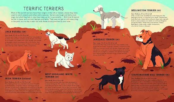 Deer Hunting English Fox Hunting Dogs English Deer Hunting Dogs Pointer Dog Deer Tracking Dog Breeds