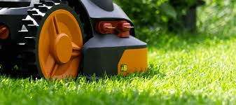 Zoysia grass is known to spread naturally and fill in bares pots and gaps in your lawn, but how fast the advantages of zoysia grass. Which Zoysia Grass Type Is Right For My Lawn Abc Blog