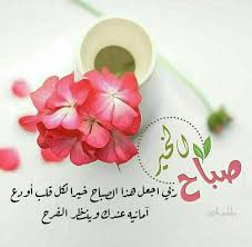 إشــツـراقة الصبــ ــاح هنيئا لمن يبدأ يومه بهذه العبارة يا مالك الملك وكلت beautiful morning messages good morning arabic good morning flowers