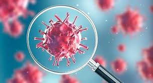 Nepal's COVID-19 cases cross 200 mark with largest single day spike