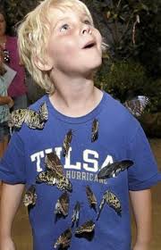 Butterfly House at fair makes spirits soar
