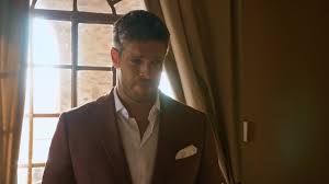 Die Bachelors 2025: Tränen, Favoriten und das große Finale! - Imagen principal del artículo
