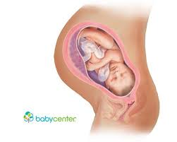 Pin On Breastfeeding And Pregnancy