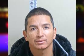 Edgar Arias-Dominguez — Gwinnett County Jail Bookings