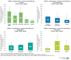 copd emphysema and chronic bronchitis rates